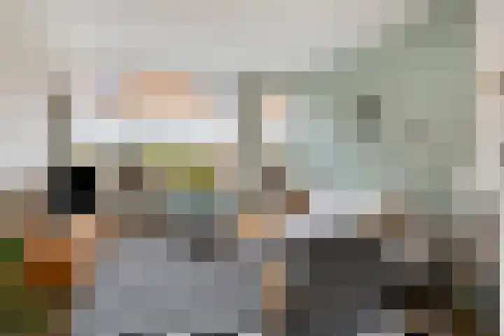 Callunastraat 45 Arnhem thumbnail 7