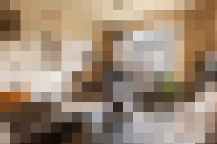 Callunaweg 5 Stroe thumbnail 11