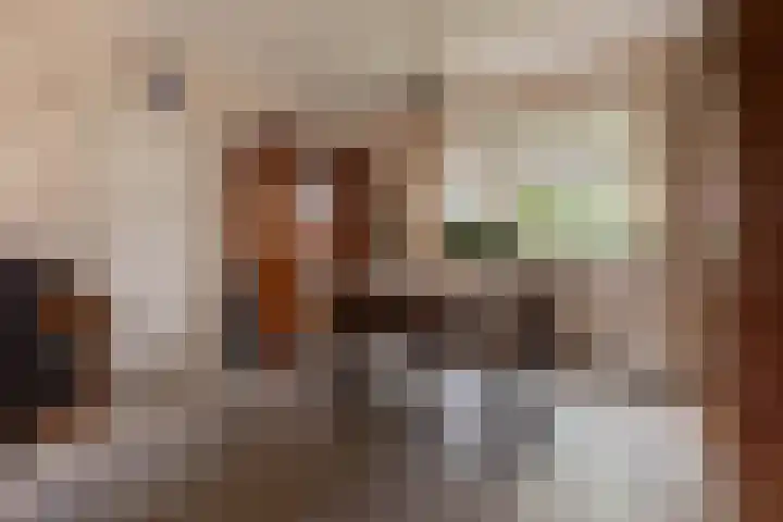 Callunaweg 5 Stroe thumbnail 13
