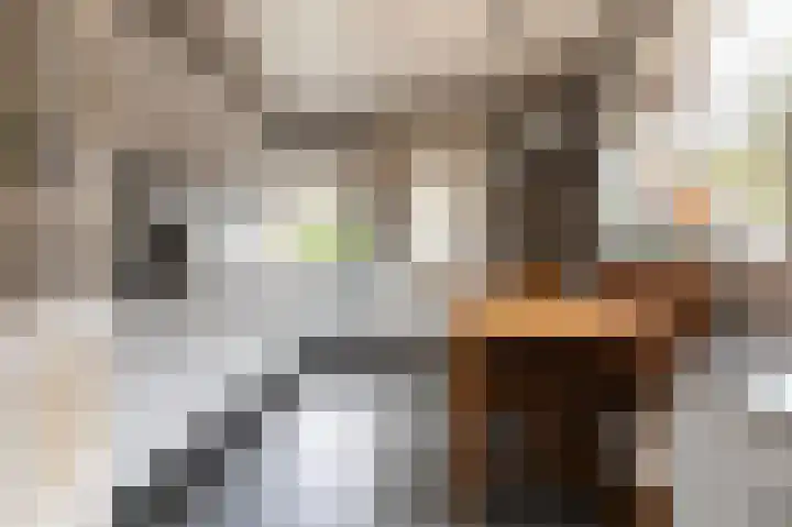 Callunaweg 5 Stroe thumbnail 14