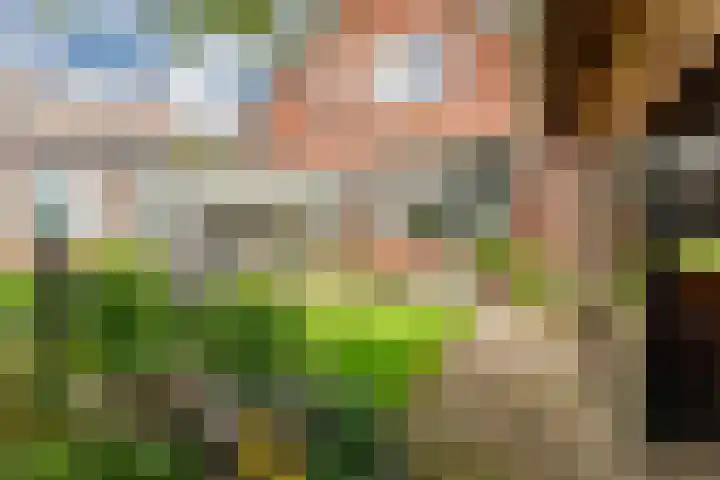 Callunaweg 5 Stroe foto 3