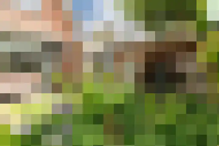 Callunaweg 5 Stroe thumbnail 32