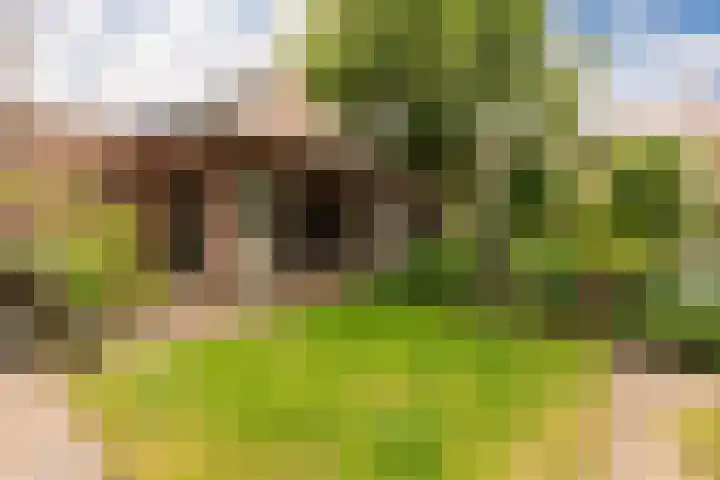 Callunaweg 5 Stroe thumbnail 33