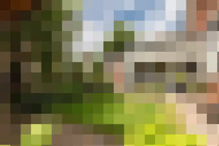 Callunaweg 5 Stroe thumbnail 34