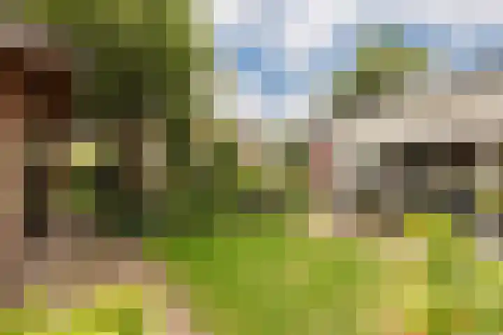Callunaweg 5 Stroe thumbnail 35