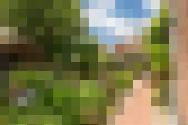 Callunaweg 5 Stroe thumbnail 36