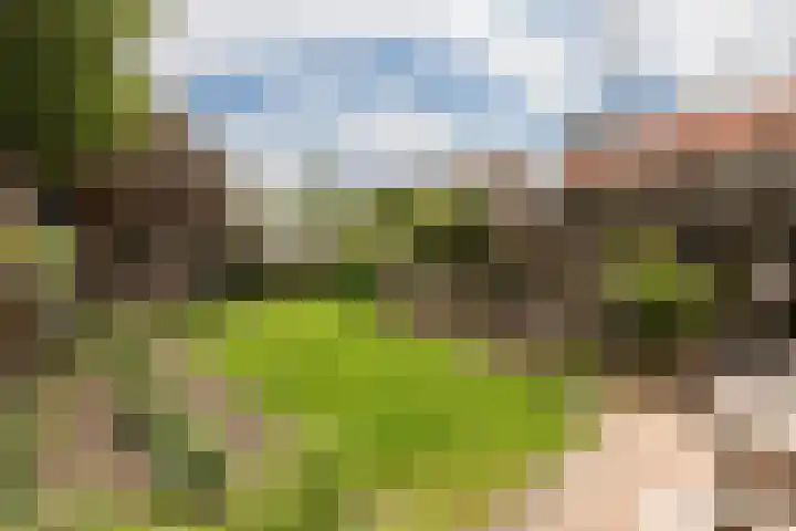 Callunaweg 5 Stroe thumbnail 38