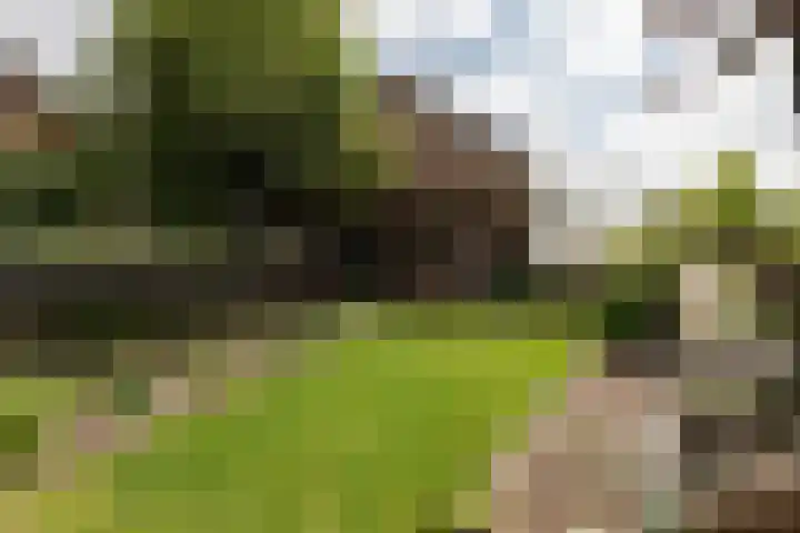 Callunaweg 5 Stroe thumbnail 39