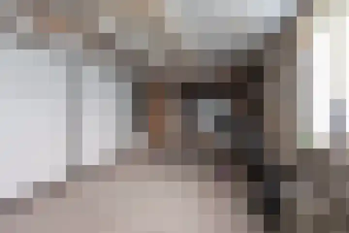 Callunaweg 5 Stroe thumbnail 42
