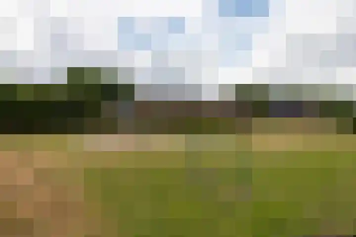 Callunaweg 5 Stroe thumbnail 43