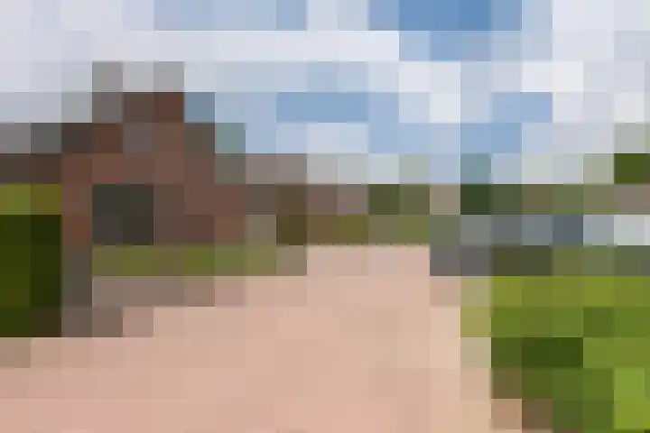 Callunaweg 5 Stroe thumbnail 7