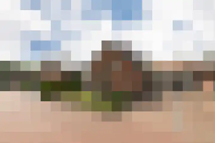 Callunaweg 5 Stroe thumbnail 8