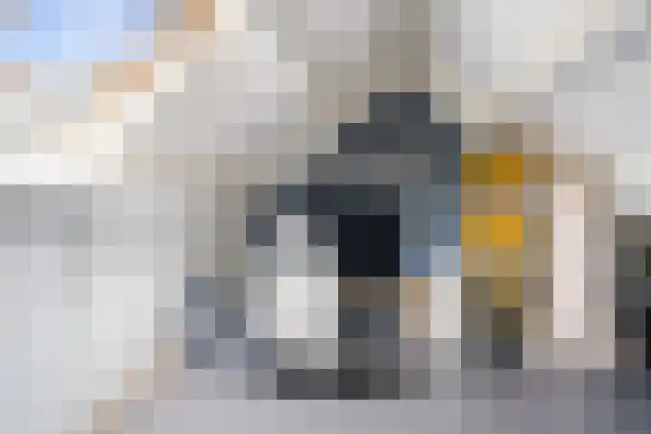 Calshof 11 Etten-Leur thumbnail 34