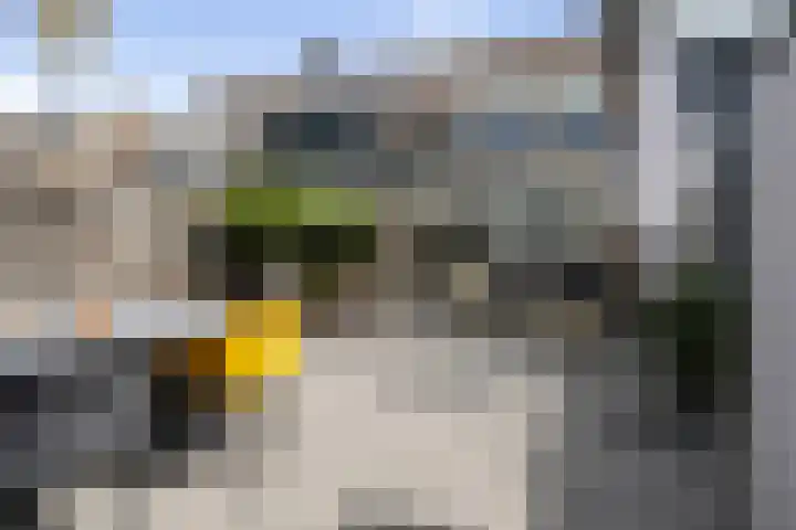 Calshof 11 Etten-Leur thumbnail 39