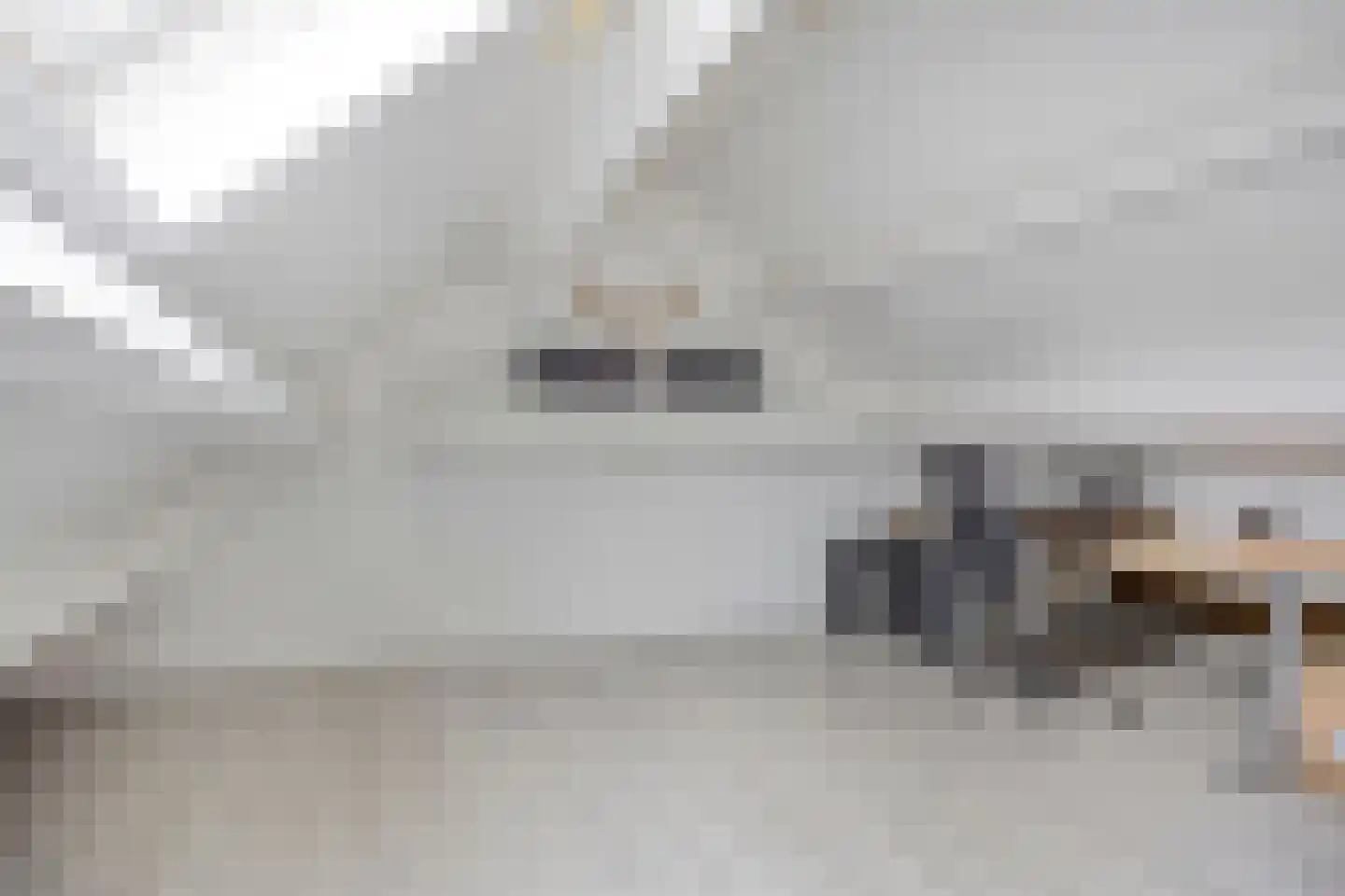 Calshof 15 Etten-Leur thumbnail 30