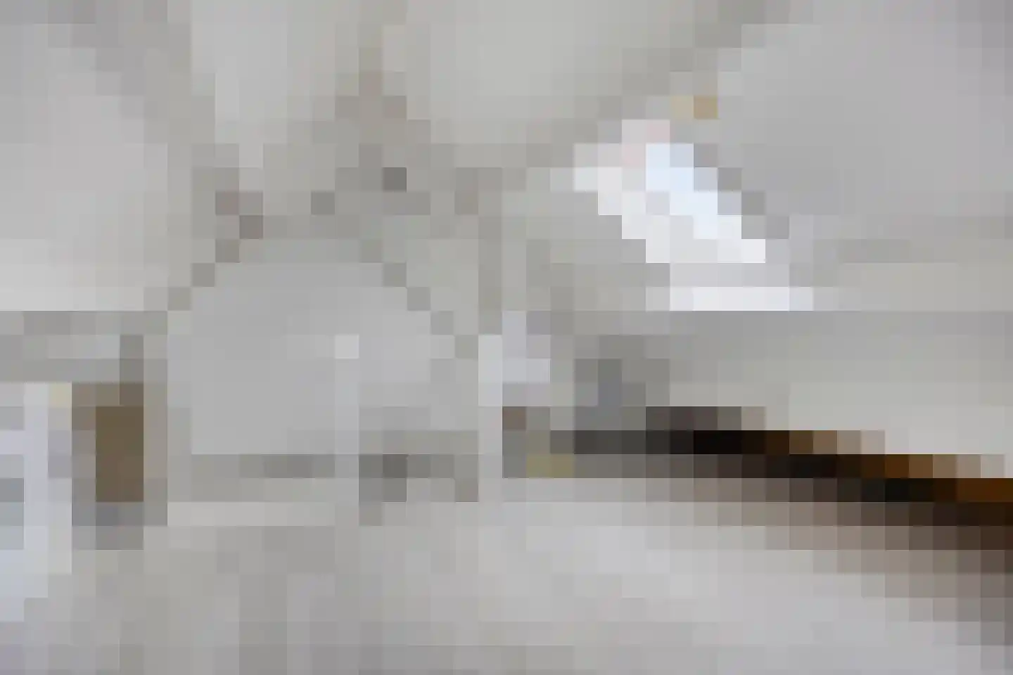 Calshof 15 Etten-Leur thumbnail 31