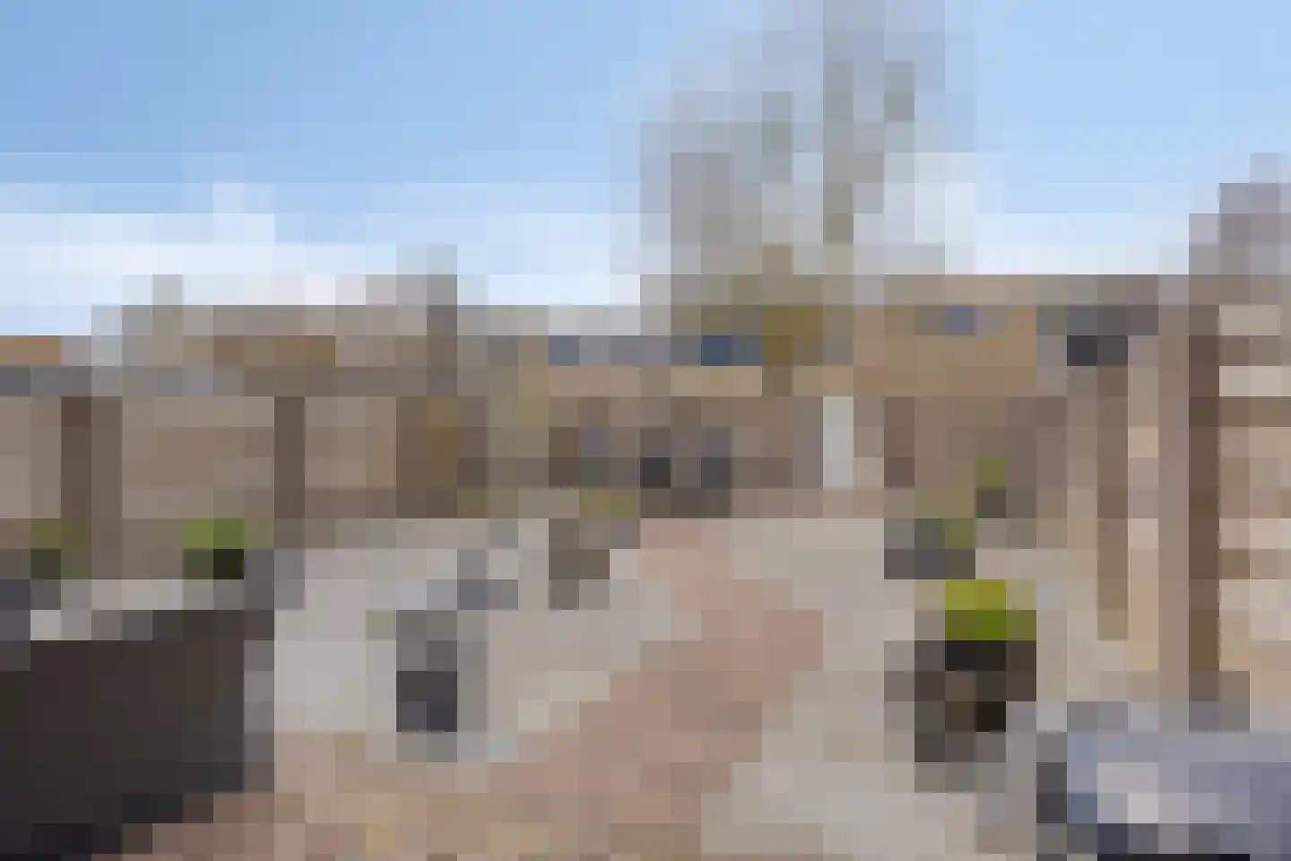 Calshof 15 Etten-Leur thumbnail 33