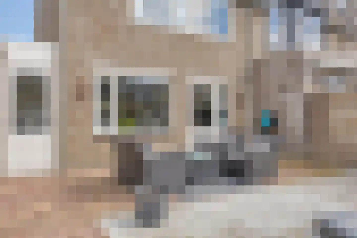 Calshof 15 Etten-Leur thumbnail 35