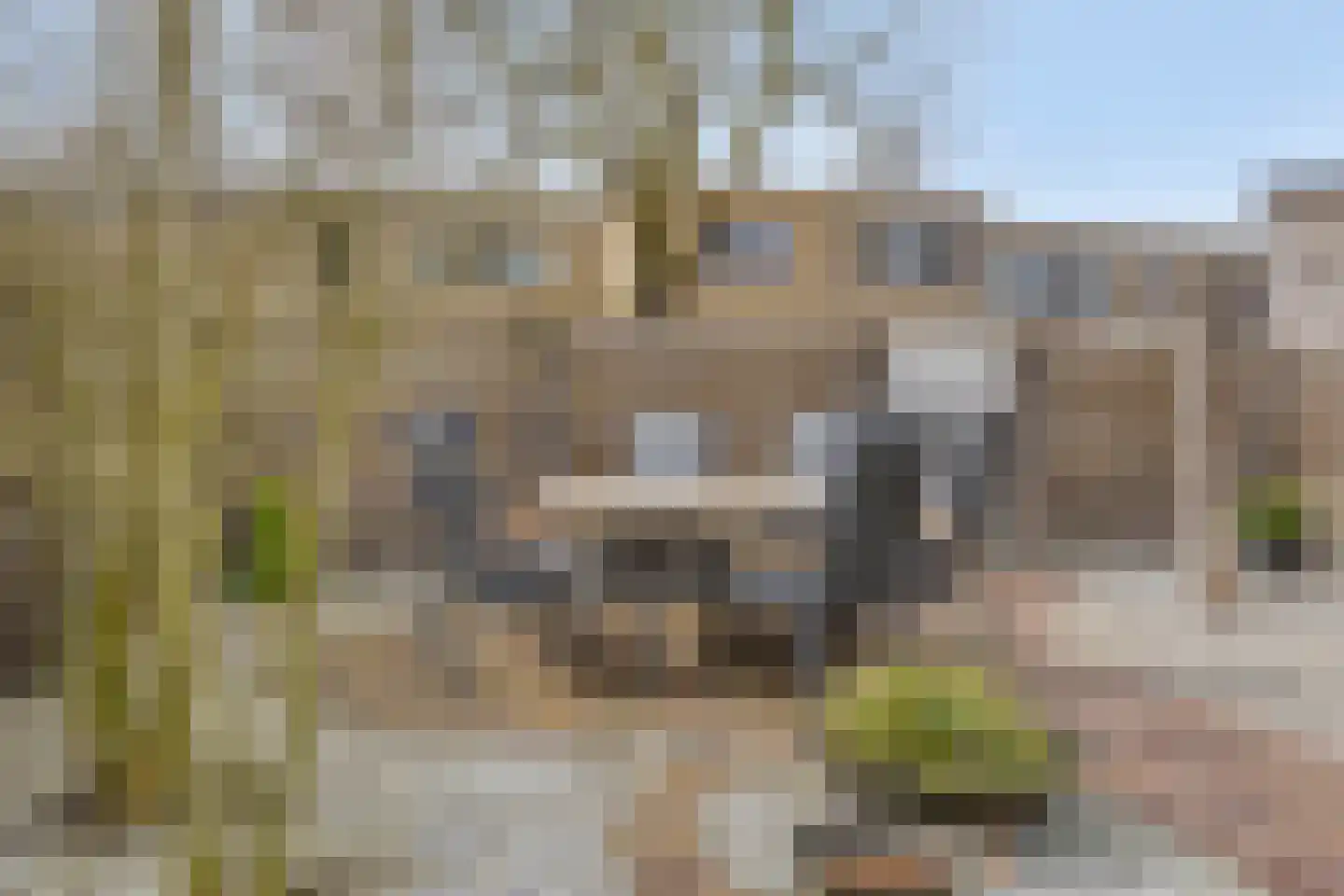 Calshof 15 Etten-Leur thumbnail 36