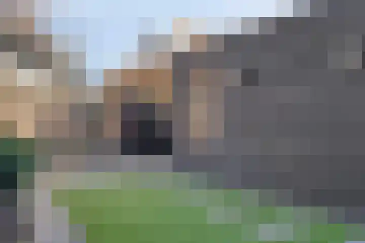 Calshof 42 Etten-Leur thumbnail 26