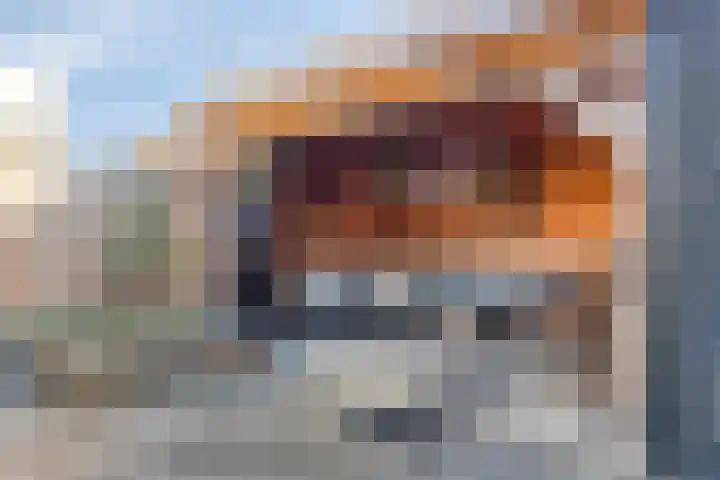 Calshof 42 Etten-Leur thumbnail 28