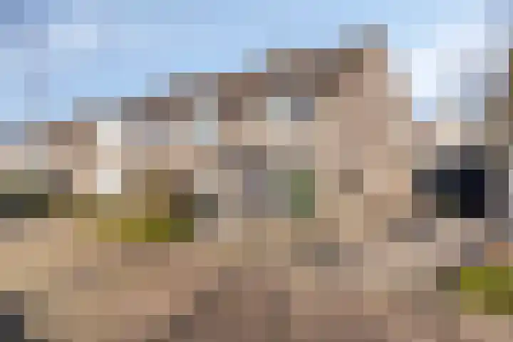 Calshof 42 Etten-Leur thumbnail 32
