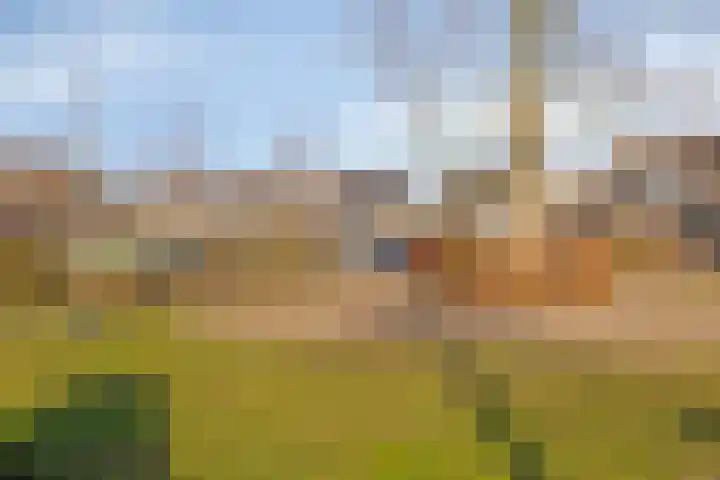 Calshof 42 Etten-Leur thumbnail 37
