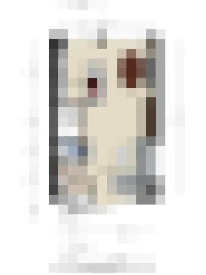 Calshof 42 Etten-Leur thumbnail 40