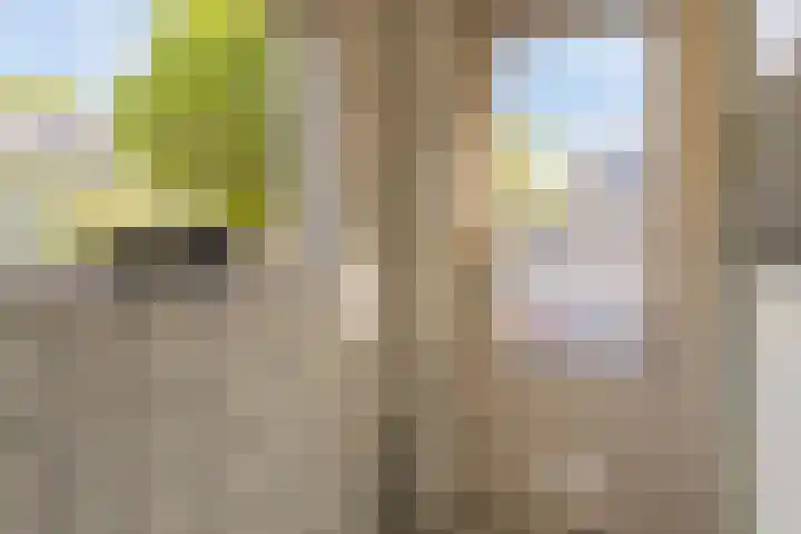Calshof 9 Oosterhout thumbnail 14