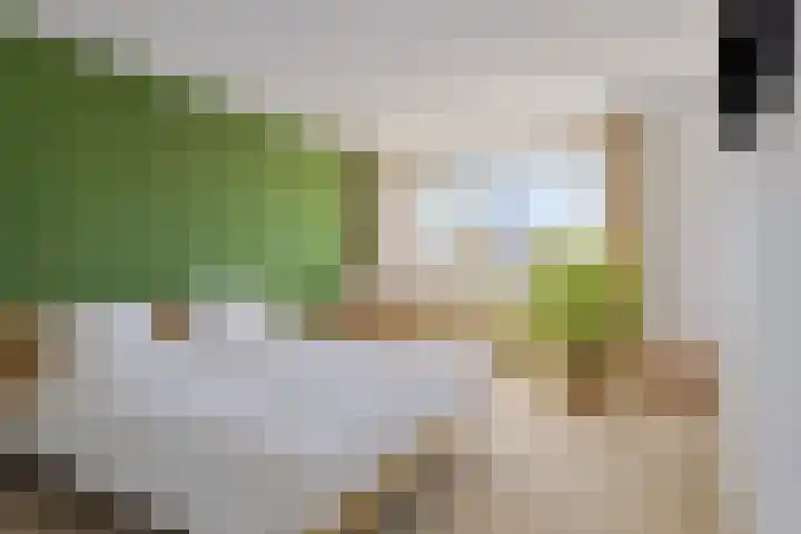 Calshof 9 Oosterhout thumbnail 17