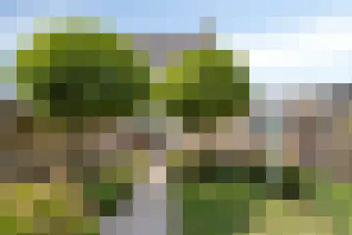 Calshof 9 Oosterhout thumbnail 30