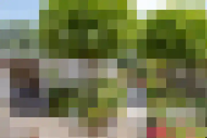 Calshof 9 Oosterhout thumbnail 32