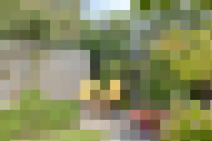 Calshof 9 Oosterhout thumbnail 33
