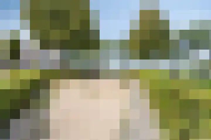 Calshof 9 Oosterhout thumbnail 36