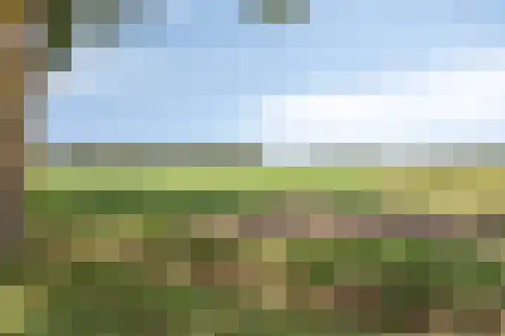 Calshof 9 Oosterhout thumbnail 37