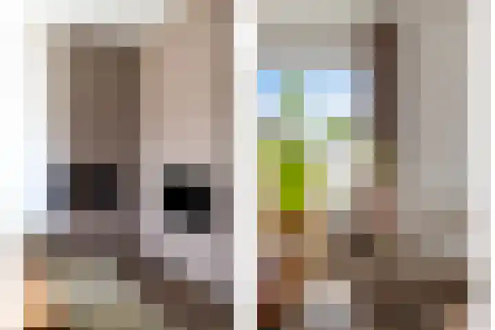 Calshof 9 Oosterhout thumbnail 4