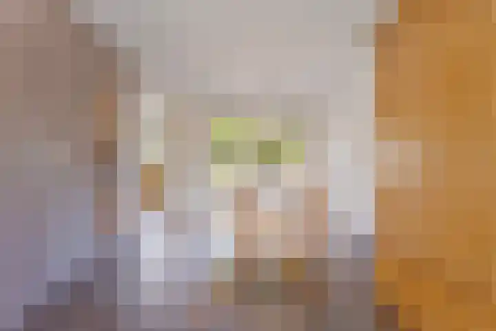 Calshof 9 Oosterhout thumbnail 6