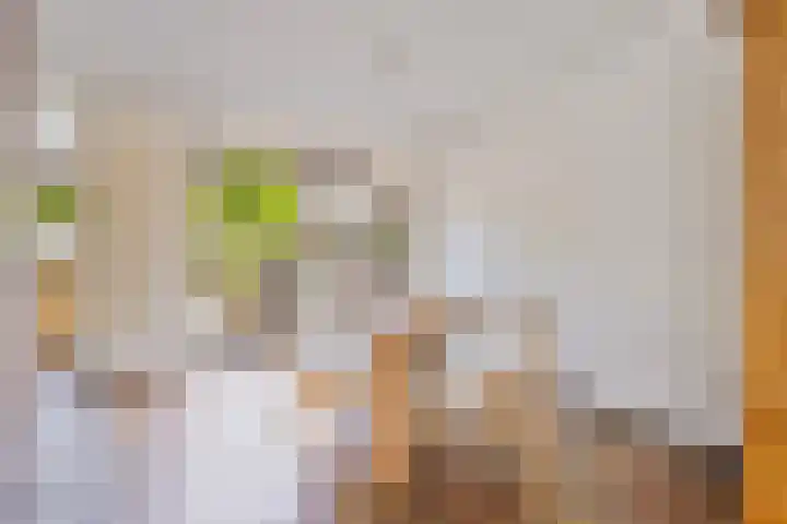 Calshof 9 Oosterhout thumbnail 7