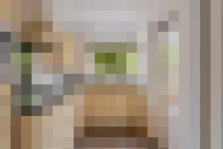 Calshof 9 Oosterhout thumbnail 9