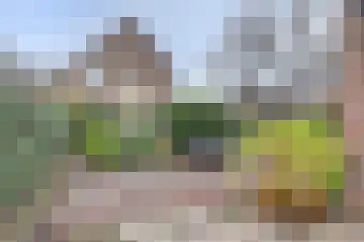 Calslaan 24 Gouda thumbnail 50