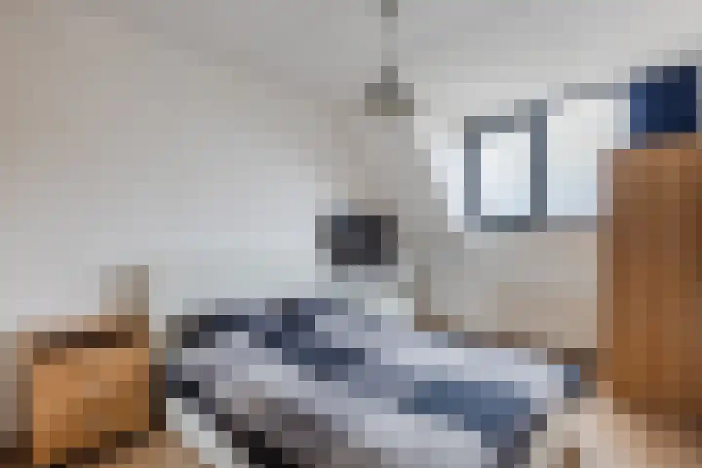 Calslager Bancken 17 Kudelstaart thumbnail 15