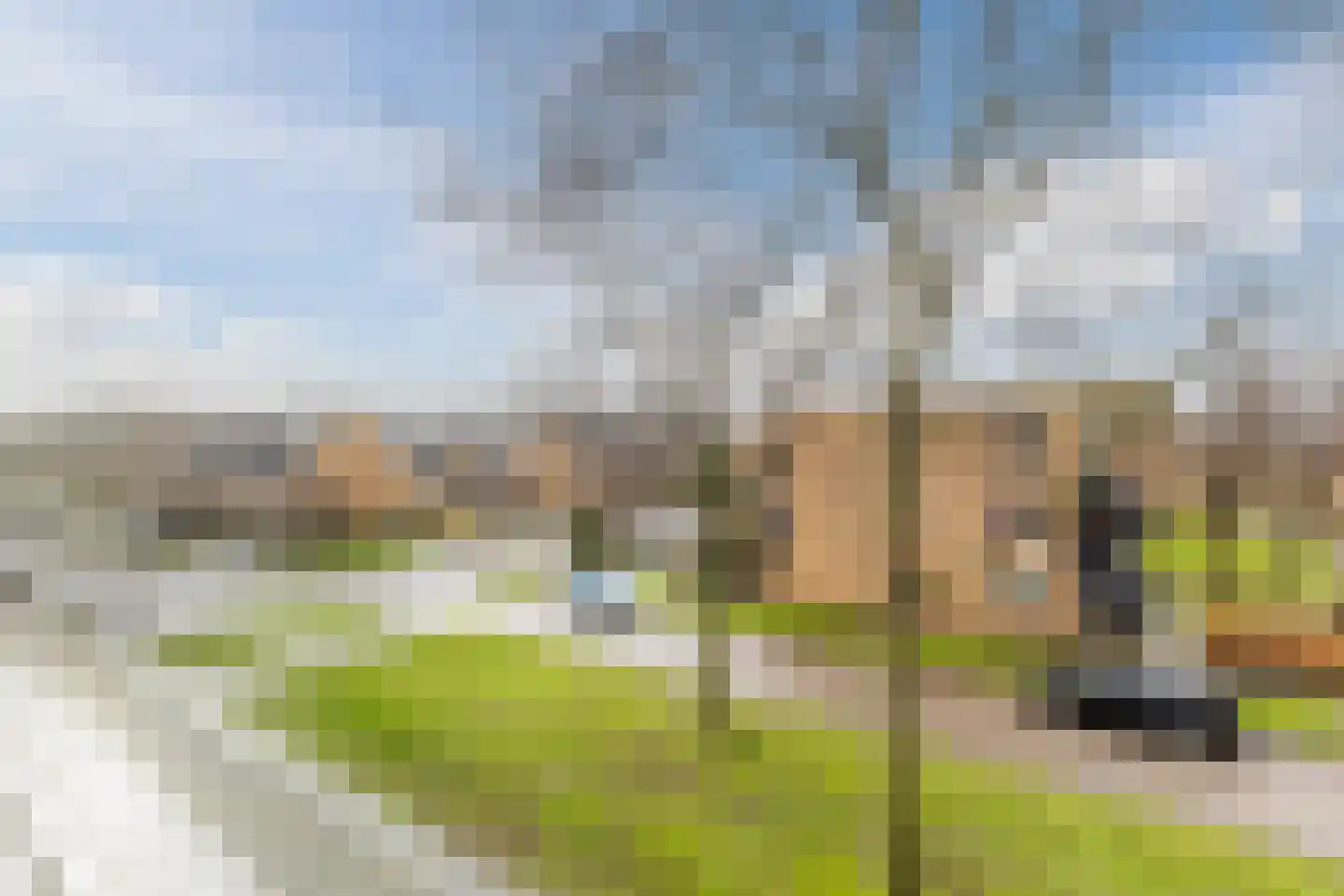 Calslager Bancken 17 Kudelstaart thumbnail 26