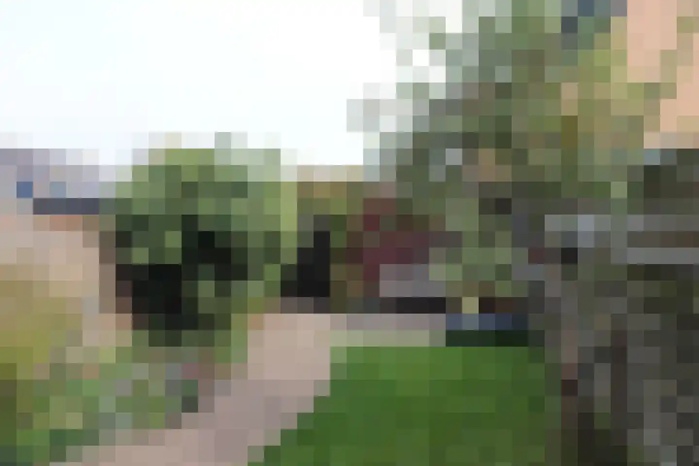 Calslager Bancken 17 Kudelstaart thumbnail 6
