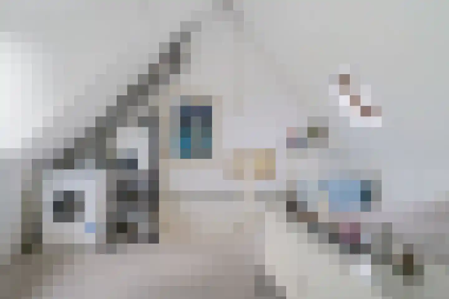 Calslager Bancken 7 Kudelstaart thumbnail 34