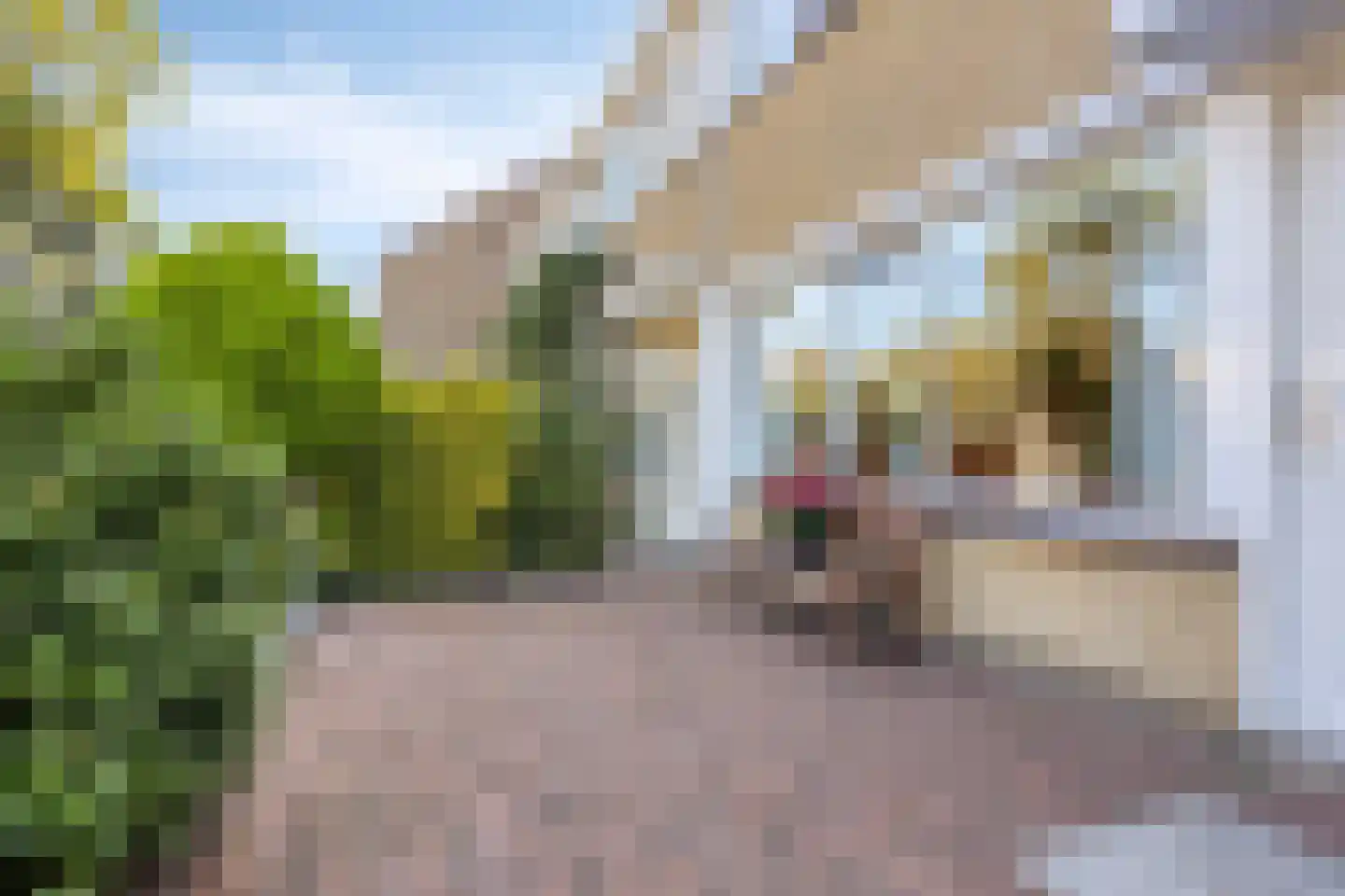 Calsplantsoen 35 Beverwijk thumbnail 39