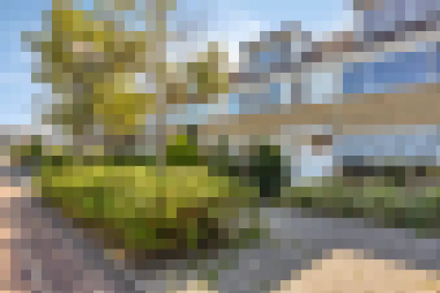 Calsplantsoen 35 Beverwijk thumbnail 45