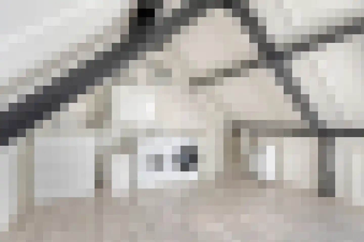 Calsstraat 100 Helmond thumbnail 33