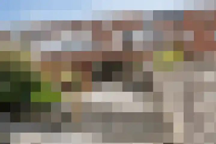 Calsstraat 12 Naaldwijk thumbnail 12