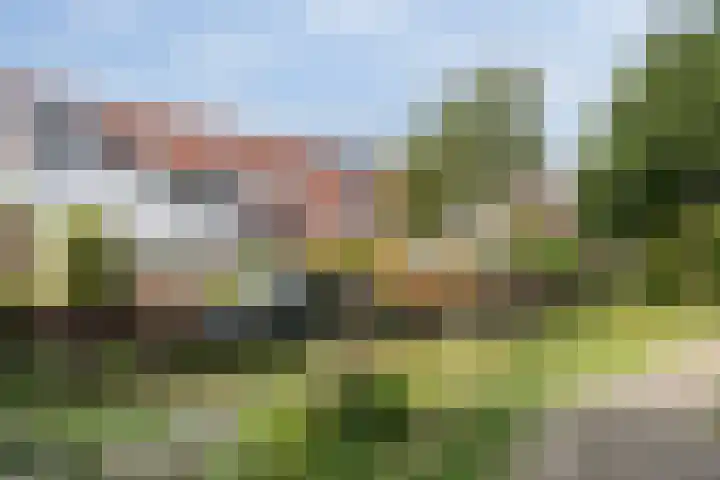 Calsstraat 12 Naaldwijk thumbnail 29