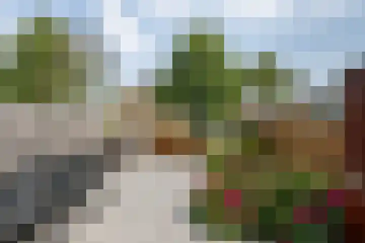 Calsstraat 12 Naaldwijk thumbnail 9